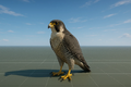 Thumbnail for version as of 16:32, 10 September 2025